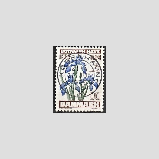 FRIMRKER DANMARK | 1974 - AFA 577 - Botanisk Have 100 r. - 90 re brun/bl/grn - Pragt Stemplet