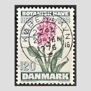 FRIM�RKER DANMARK | 1974 - AFA 578 - Botanisk Have 100 �r. - 120 �re bl�gr�n/violet/gr�n - Pragt Stemplet K�benhavn