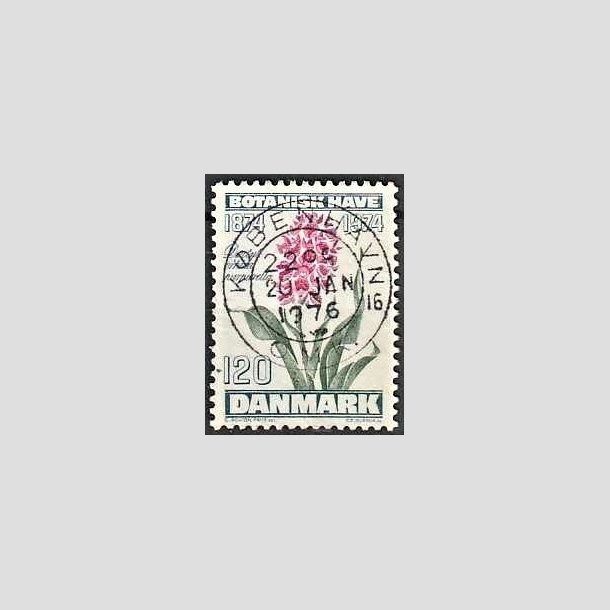 FRIMRKER DANMARK | 1974 - AFA 578 - Botanisk Have 100 r. - 120 re blgrn/violet/grn - Pragt Stemplet Kbenhavn