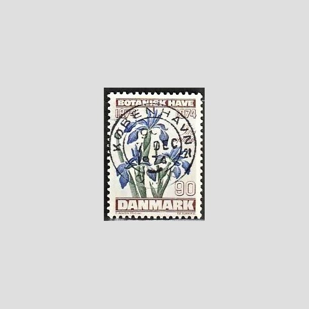 FRIMRKER DANMARK | 1974 - AFA 577 - Botanisk Have 100 r. - 90 re brun/bl/grn - Pragt Stemplet