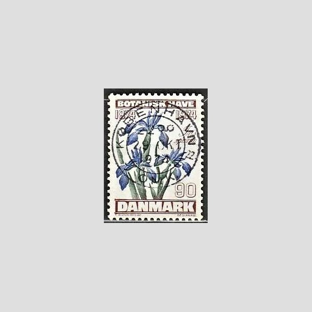 FRIMRKER DANMARK | 1974 - AFA 577 - Botanisk Have 100 r. - 90 re brun/bl/grn - Pragt Stemplet