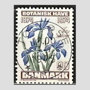 FRIM�RKER DANMARK | 1974 - AFA 577 - Botanisk Have 100 �r. - 90 �re brun/bl�/gr�n - Pragt Stemplet