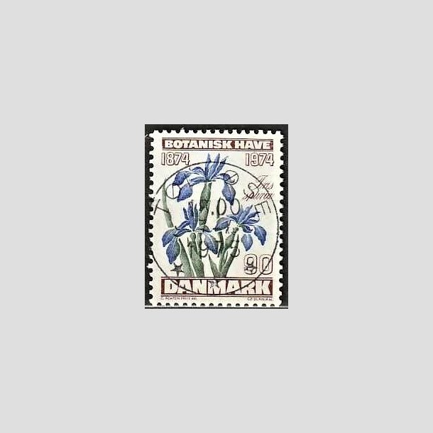 FRIMRKER DANMARK | 1974 - AFA 577 - Botanisk Have 100 r. - 90 re brun/bl/grn - Pragt Stemplet