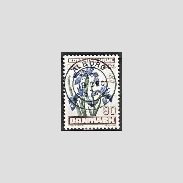 FRIMRKER DANMARK | 1974 - AFA 577 - Botanisk Have 100 r. - 90 re brun/bl/grn - Pragt Stemplet lborg