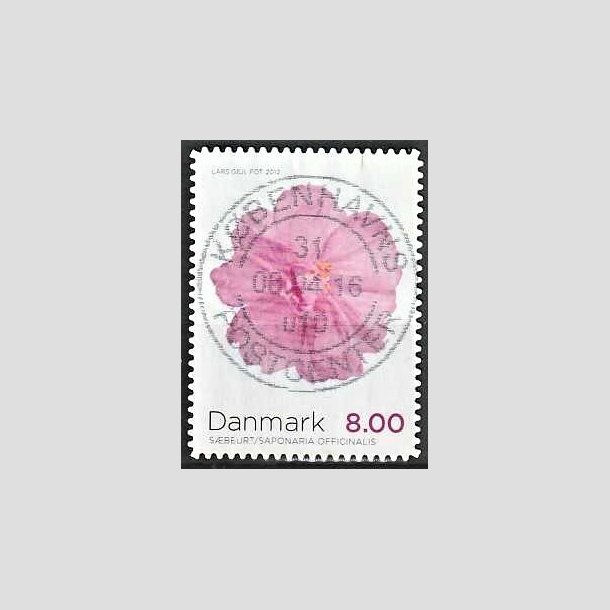 FRIMRKER DANMARK | 2012 - AFA 1715a - Efterrsblomster - 8,00 Kr. flerfarvet - Pragt Stemplet