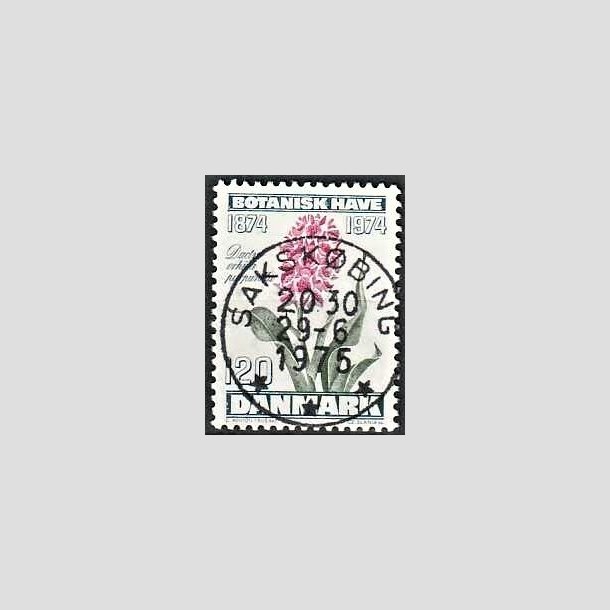 FRIMRKER DANMARK | 1974 - AFA 578 - Botanisk Have 100 r. - 120 re blgrn/violet/grn - Pragt Stemplet