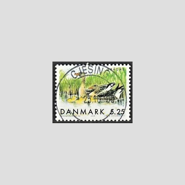 FRIMRKER DANMARK | 1999 - AFA 1223 - Danske trkfugle - 5,25 Kr. grgs - Pragt Stemplet