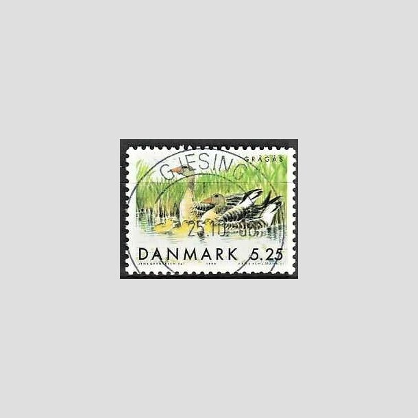 FRIMRKER DANMARK | 1999 - AFA 1223 - Danske trkfugle - 5,25 Kr. grgs - Pragt Stemplet