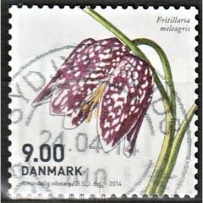 FRIMRKER DANMARK | 2014 - AFA 1766 - Forrsblomster - 9,00 Kr. flerfarvet - Alm. god gennemsnitskvalitet - Stemplet (Photo eksempel)