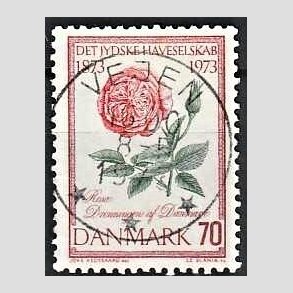 FRIM�RKER DANMARK | 1973 - AFA 546 - Jydske Haveselskab 100 �r - 70 �re rosa/gr�n/r�d - Pragt Stemplet Vejen