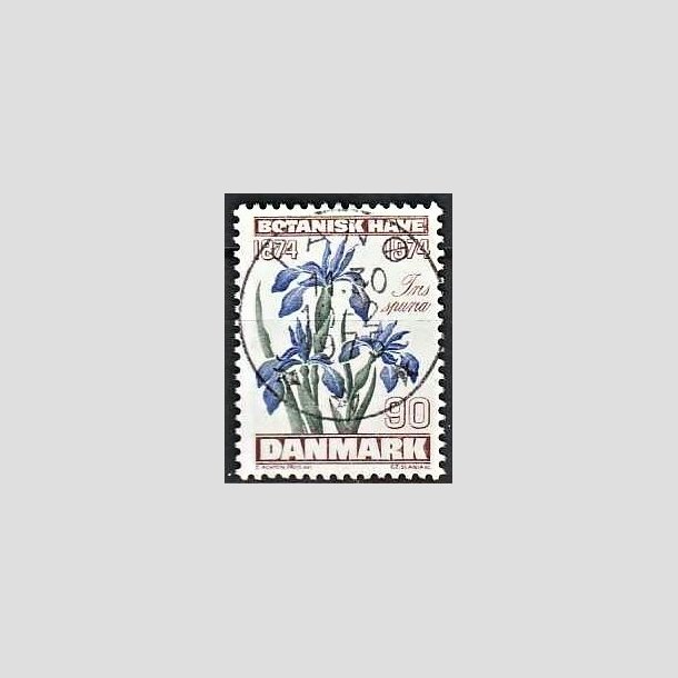 FRIMRKER DANMARK | 1974 - AFA 577 - Botanisk Have 100 r. - 90 re brun/bl/grn - Pragt Stemplet Fan