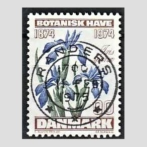 FRIM�RKER DANMARK | 1974 - AFA 577 - Botanisk Have 100 �r. - 90 �re brun/bl�/gr�n - Pragt Stemplet Randers