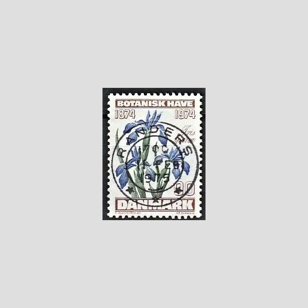 FRIMRKER DANMARK | 1974 - AFA 577 - Botanisk Have 100 r. - 90 re brun/bl/grn - Pragt Stemplet Randers