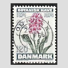 FRIM�RKER DANMARK | 1974 - AFA 578 - Botanisk Have 100 �r. - 120 �re bl�gr�n/violet/gr�n - Pragt Stemplet Odense