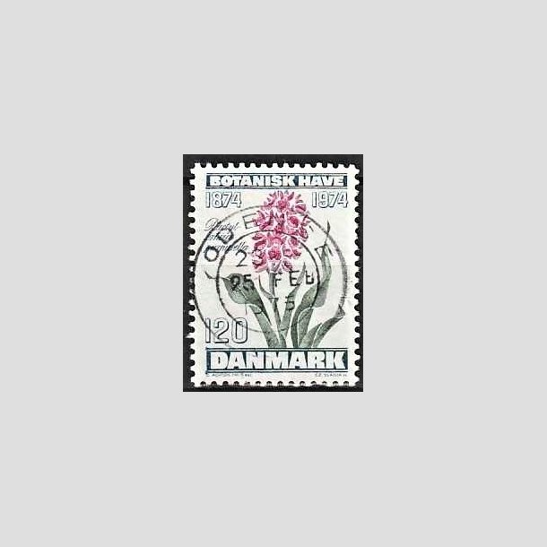 FRIMRKER DANMARK | 1974 - AFA 578 - Botanisk Have 100 r. - 120 re blgrn/violet/grn - Pragt Stemplet Odense