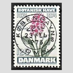 FRIM�RKER DANMARK | 1974 - AFA 578 - Botanisk Have 100 �r. - 120 �re bl�gr�n/violet/gr�n - Pragt Stemplet K�benhavn