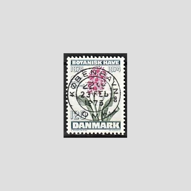 FRIMRKER DANMARK | 1974 - AFA 578 - Botanisk Have 100 r. - 120 re blgrn/violet/grn - Pragt Stemplet Kbenhavn