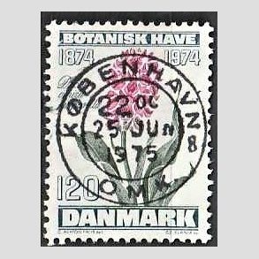 FRIM�RKER DANMARK | 1974 - AFA 578 - Botanisk Have 100 �r. - 120 �re bl�gr�n/violet/gr�n - Pragt Stemplet K�benhavn