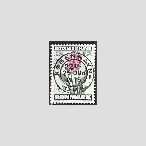 FRIMRKER DANMARK | 1974 - AFA 578 - Botanisk Have 100 r. - 120 re blgrn/violet/grn - Pragt Stemplet Kbenhavn