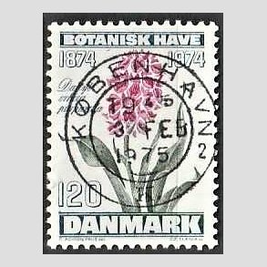 FRIM�RKER DANMARK | 1974 - AFA 578 - Botanisk Have 100 �r. - 120 �re bl�gr�n/violet/gr�n - Pragt Stemplet K�benhavn