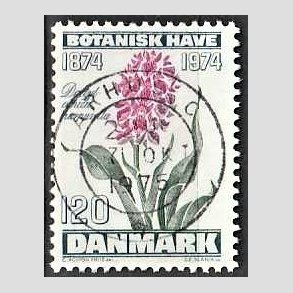 FRIM�RKER DANMARK | 1974 - AFA 578 - Botanisk Have 100 �r. - 120 �re bl�gr�n/violet/gr�n - Pragt Stemplet �rhus C
