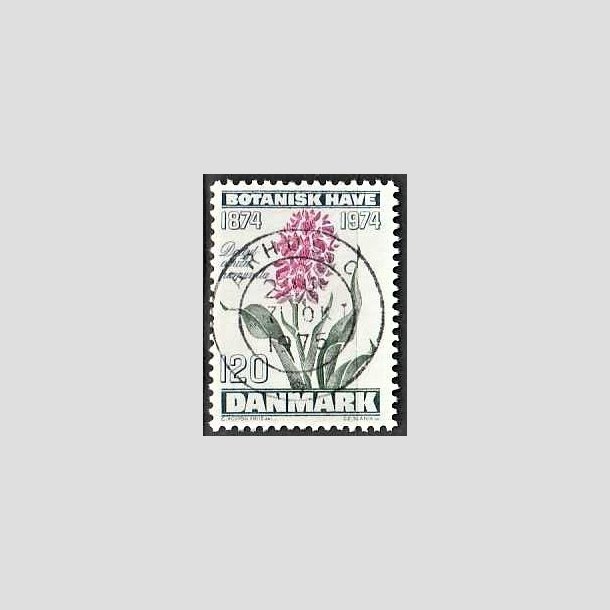 FRIMRKER DANMARK | 1974 - AFA 578 - Botanisk Have 100 r. - 120 re blgrn/violet/grn - Pragt Stemplet rhus C