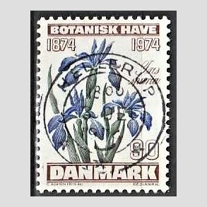 FRIM�RKER DANMARK | 1974 - AFA 577 - Botanisk Have 100 �r. - 90 �re brun/bl�/gr�n - Pragt Stemplet Hellerup