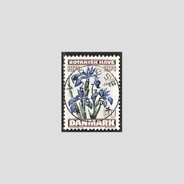 FRIMRKER DANMARK | 1974 - AFA 577 - Botanisk Have 100 r. - 90 re brun/bl/grn - Pragt Stemplet Vrlse