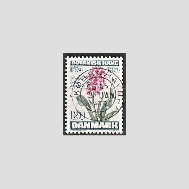 FRIMRKER DANMARK | 1974 - AFA 578 - Botanisk Have 100 r. - 120 re blgrn/violet/grn - Pragt Stemplet Kbenhavn