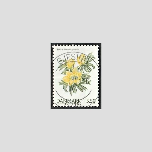 FRIMRKER DANMARK | 2006 - AFA 1456 - Forrsblomster - 5,50 Kr. Erantis - Pragt Stemplet Gjesing