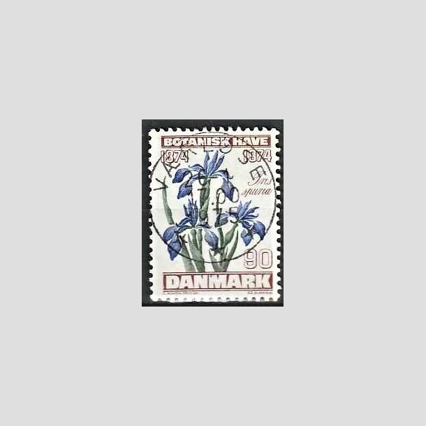 FRIMRKER DANMARK | 1974 - AFA 577 - Botanisk Have 100 r. - 90 re brun/bl/grn - Pragt Stemplet Vrlse