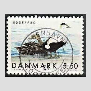 FRIM�RKER DANMARK | 1999 - AFA 1224 - Danske tr�kfugle - 5,50 Kr. Edderfugl - Pragt Stemplet