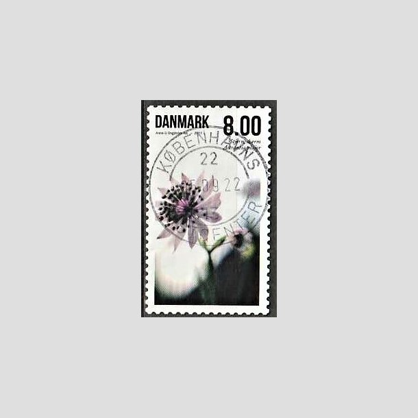 FRIMRKER DANMARK | 2011 - AFA 1665 - Sommerens blomster - 8,00 Kr. flerfarvet - Pragt Stemplet