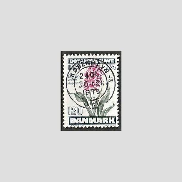 FRIMRKER DANMARK | 1974 - AFA 578 - Botanisk Have 100 r. - 120 re blgrn/violet/grn - Pragt Stemplet