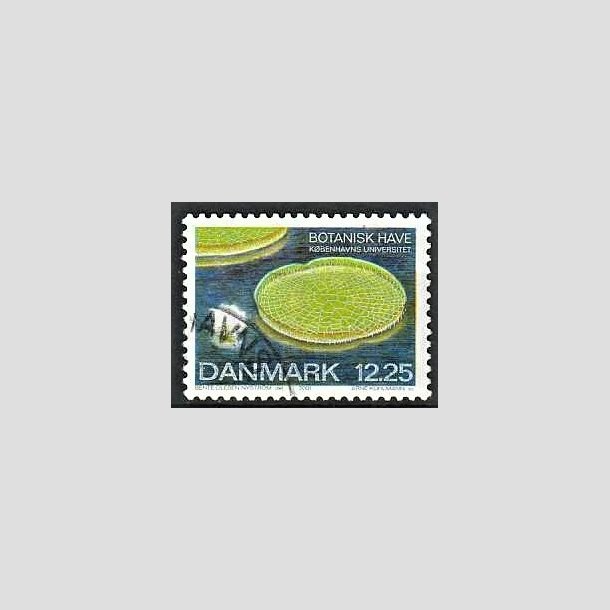 FRIMRKER DANMARK | 2001 - AFA 1274 - Botanisk have. - 12,25 Kr. Kmpekande. - Pnt Stemplet