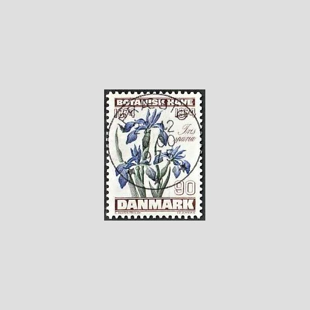 FRIMRKER DANMARK | 1974 - AFA 577 - Botanisk Have 100 r. - 90 re brun/bl/grn - Pragt Stemplet Prst