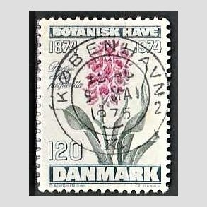 FRIM�RKER DANMARK | 1974 - AFA 578 - Botanisk Have 100 �r. - 120 �re bl�gr�n/violet/gr�n - Pragt Stemplet K�benhavn