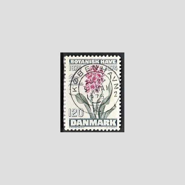 FRIMRKER DANMARK | 1974 - AFA 578 - Botanisk Have 100 r. - 120 re blgrn/violet/grn - Pragt Stemplet Kbenhavn