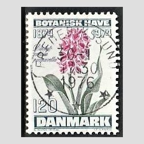 FRIM�RKER DANMARK | 1974 - AFA 578 - Botanisk Have 100 �r. - 120 �re bl�gr�n/violet/gr�n - Pragt Stemplet Frederikssund