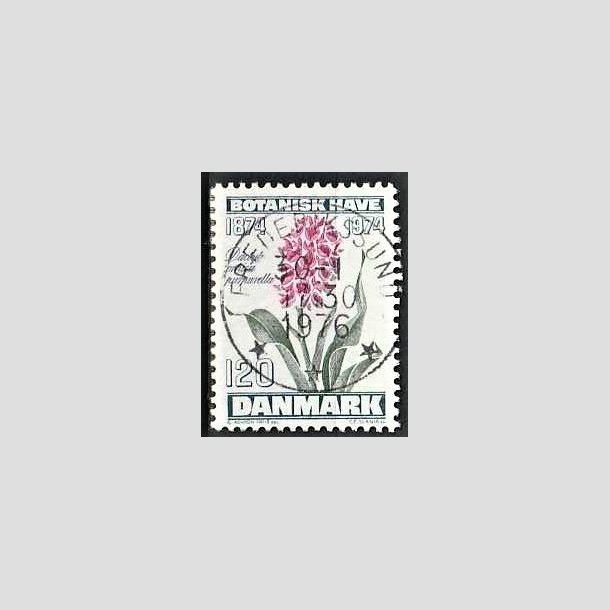 FRIMRKER DANMARK | 1974 - AFA 578 - Botanisk Have 100 r. - 120 re blgrn/violet/grn - Pragt Stemplet Frederikssund