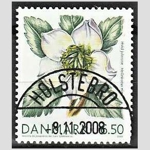 FRIM�RKER DANMARK | 2008 - AFA 1557 - Vinterb�r - 6,50 Kr. hvid julerose - Pragt Stemplet Holstebro