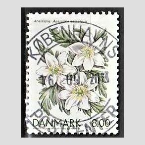 FRIM�RKER DANMARK | 2006 - AFA 1458 - For�rsblomster - 8,00 Kr. Anemone - Pragt Stemplet Gjesing