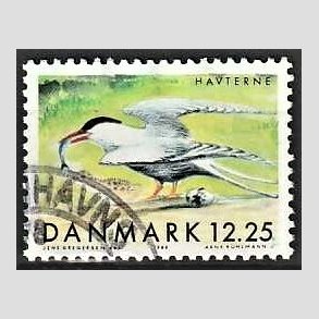 FRIMRKER DANMARK | 1999 - AFA 1225 - Danske trkfugle - 12,25 Kr. havterne - Pnt Stemplet