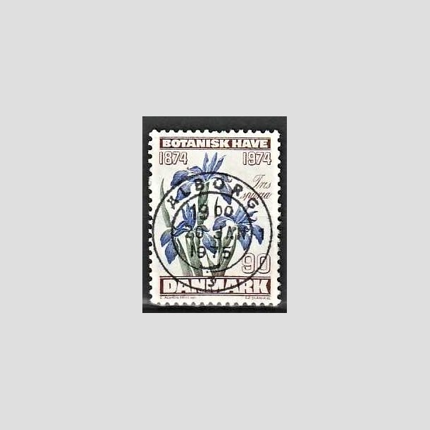 FRIMRKER DANMARK | 1974 - AFA 577 - Botanisk Have 100 r. - 90 re brun/bl/grn - Pragt Stemplet lborg