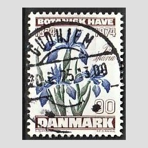 FRIM�RKER DANMARK | 1974 - AFA 577 - Botanisk Have 100 �r. - 90 �re brun/bl�/gr�n - Pragt Stemplet Gudhjem