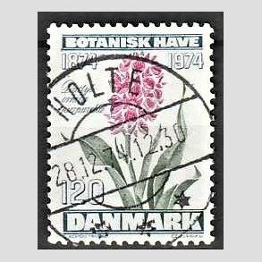 FRIM�RKER DANMARK | 1974 - AFA 578 - Botanisk Have 100 �r. - 120 �re bl�gr�n/violet/gr�n - Pragt Stemplet Holte