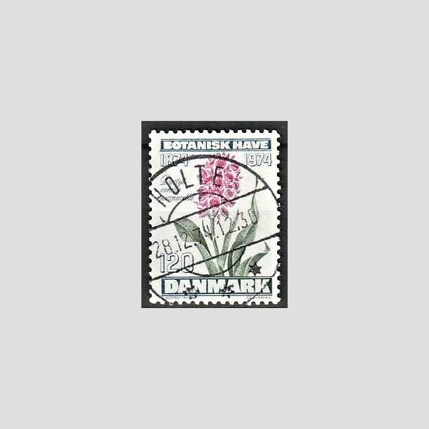 FRIMRKER DANMARK | 1974 - AFA 578 - Botanisk Have 100 r. - 120 re blgrn/violet/grn - Pragt Stemplet Holte