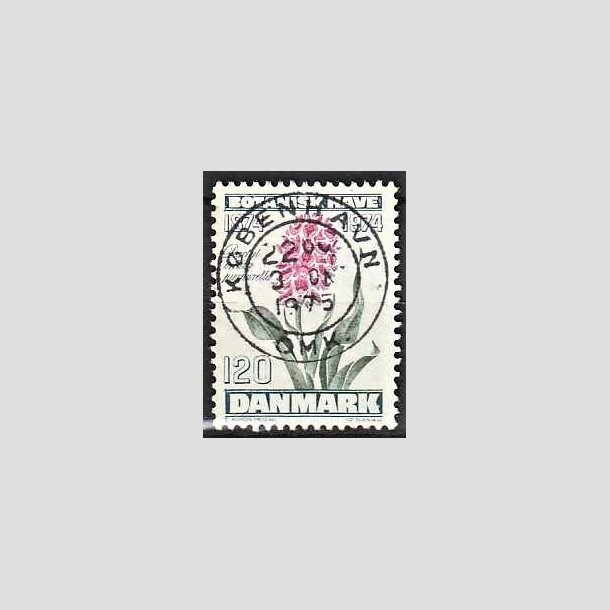 FRIMRKER DANMARK | 1974 - AFA 578 - Botanisk Have 100 r. - 120 re blgrn/violet/grn - Pragt Stemplet Kbenhavn