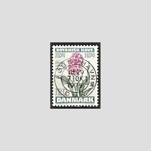 FRIMRKER DANMARK | 1974 - AFA 578 - Botanisk Have 100 r. - 120 re blgrn/violet/grn - Pragt Stemplet Kbenhavn