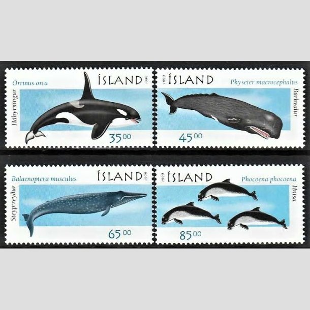 FRIMRKER ISLAND | 1999 - AFA 890-93 - Havpattedyr - 35,00 - 85,00 kr. flerfarvet - Postfrisk